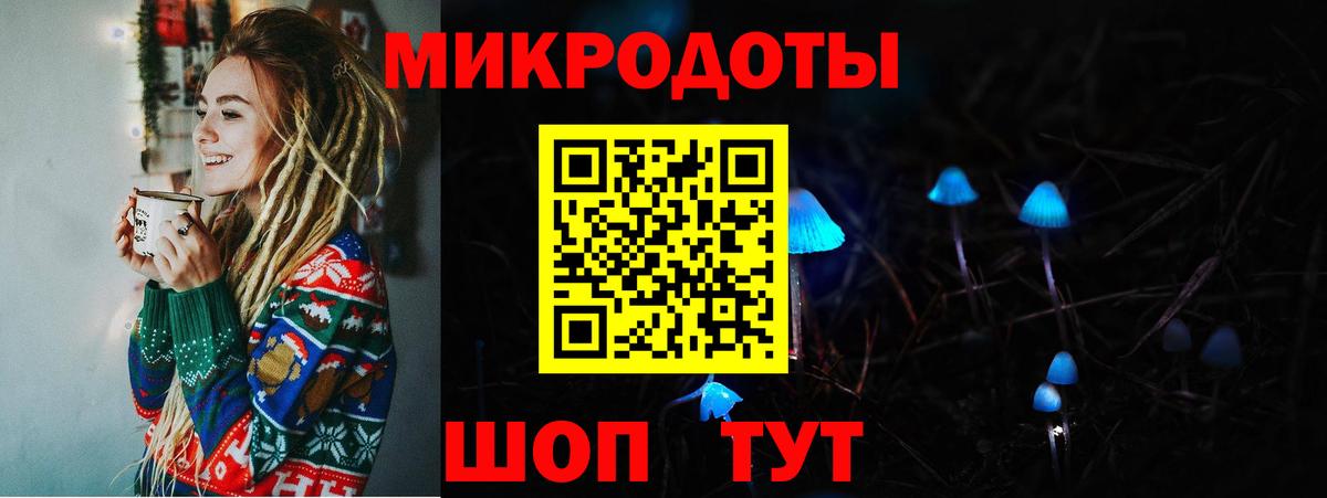 Псилоцибиновые грибы мицелий Ярцево